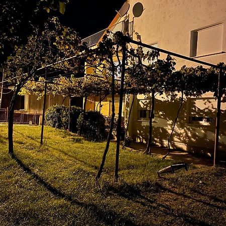 Entire 1-Bedroom Apartment With Free Parking Podgorica Bagian luar foto